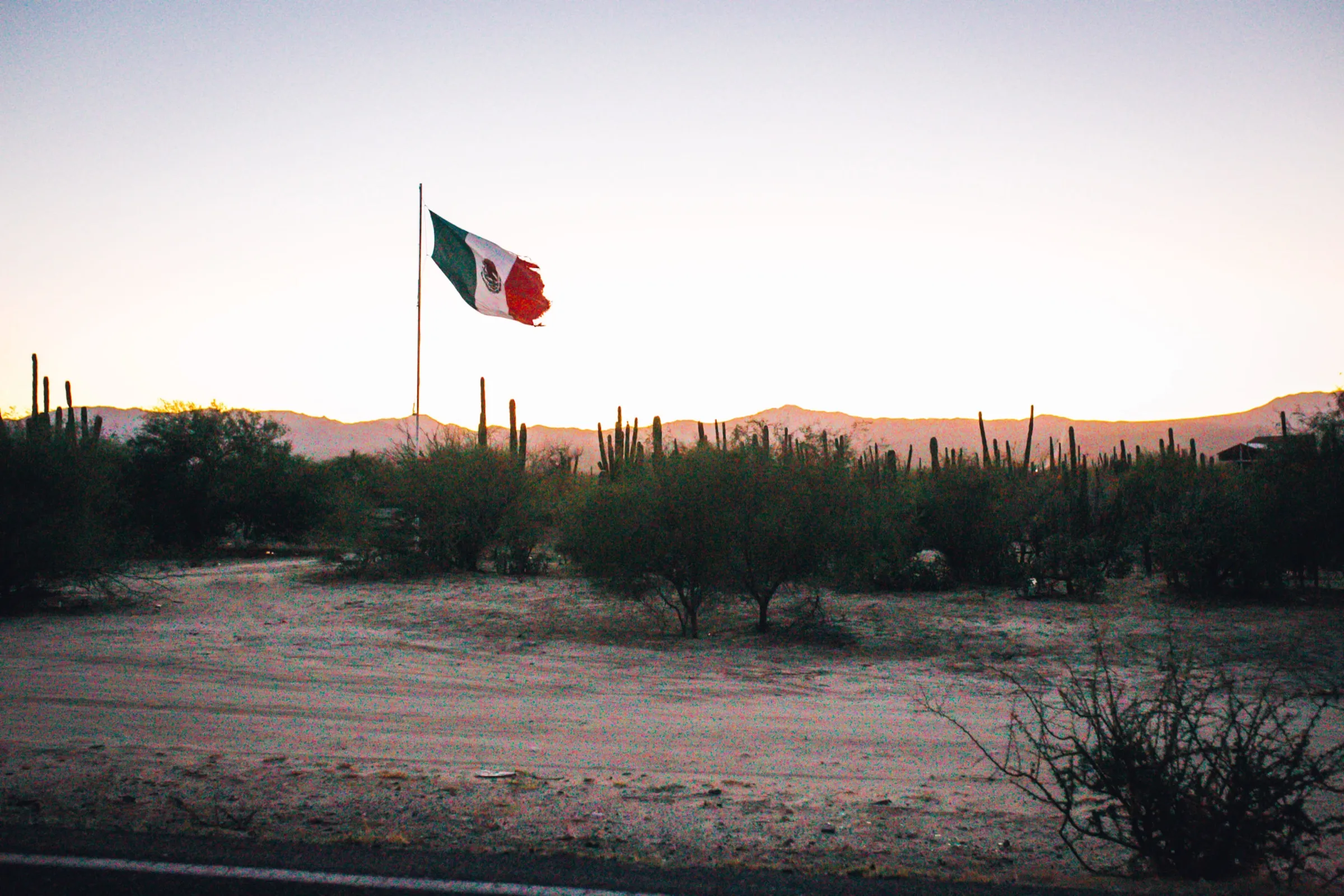 Cabo field guide