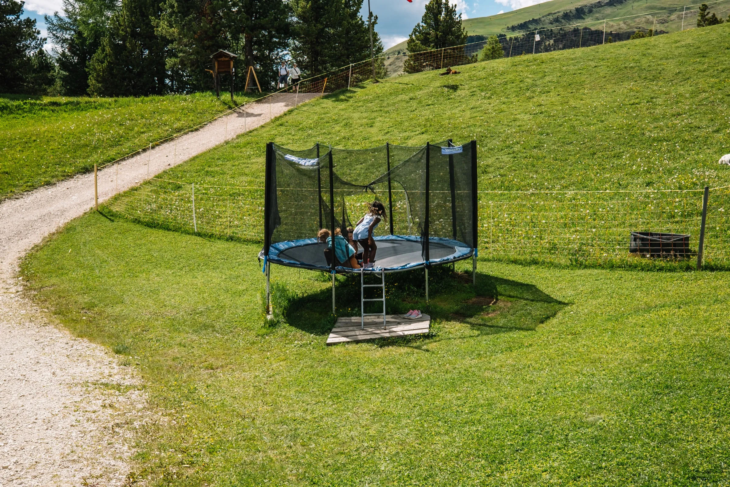 The Dolomites, South Tyrol, Italy — frame 6