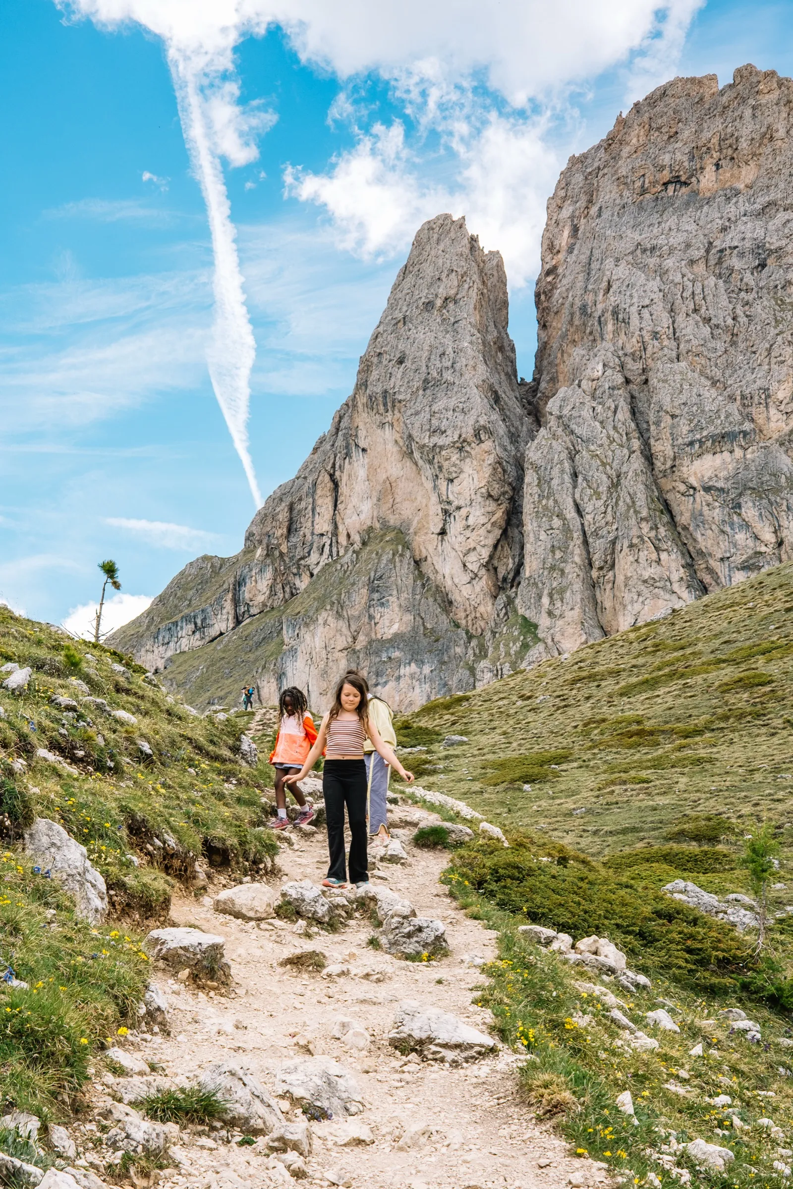 The Odle spires rising straight out of green Dolomite meadow