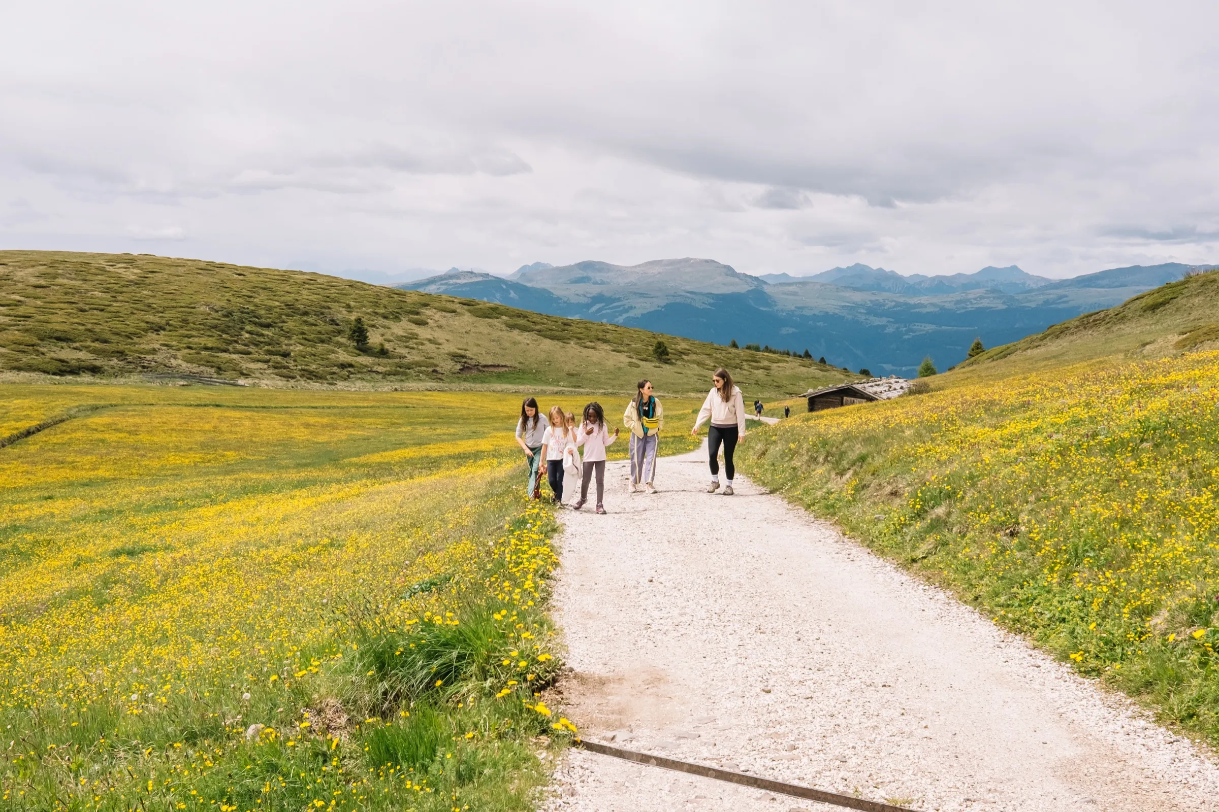 The Dolomites, South Tyrol, Italy — frame 1