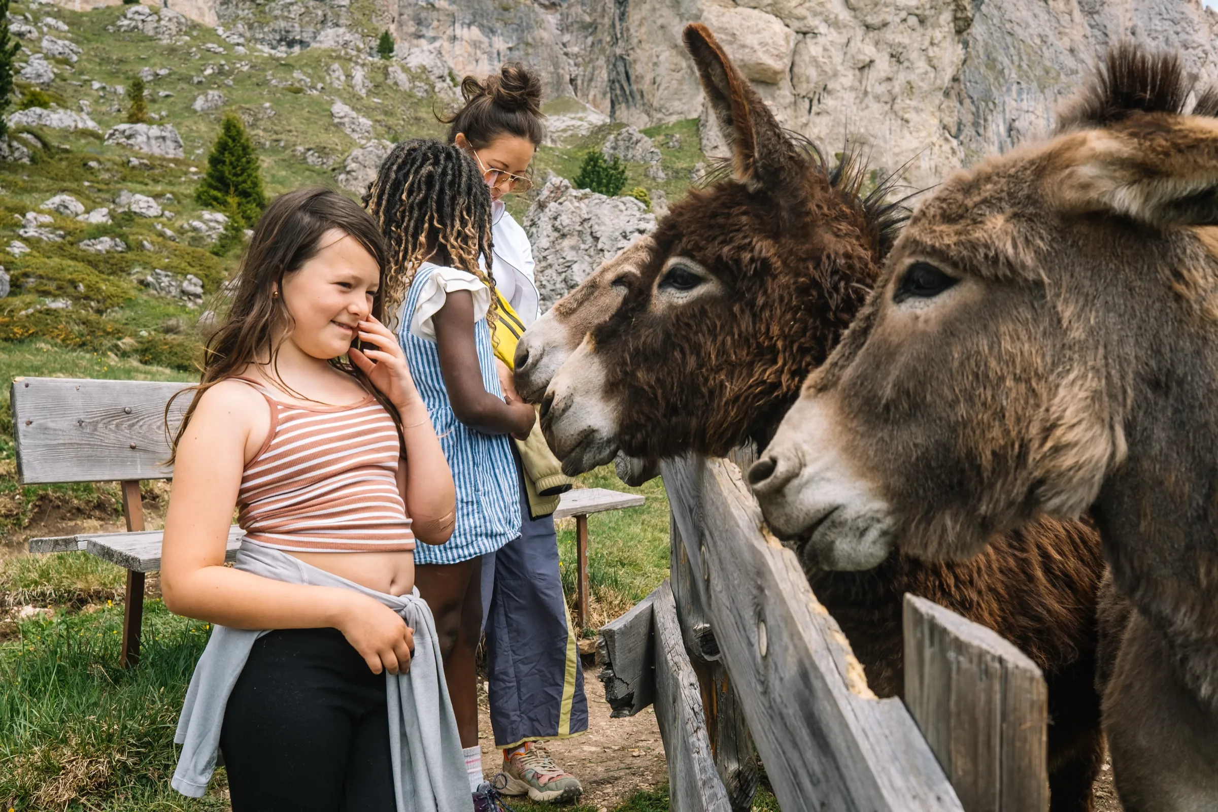 The Dolomites, South Tyrol, Italy — frame 2