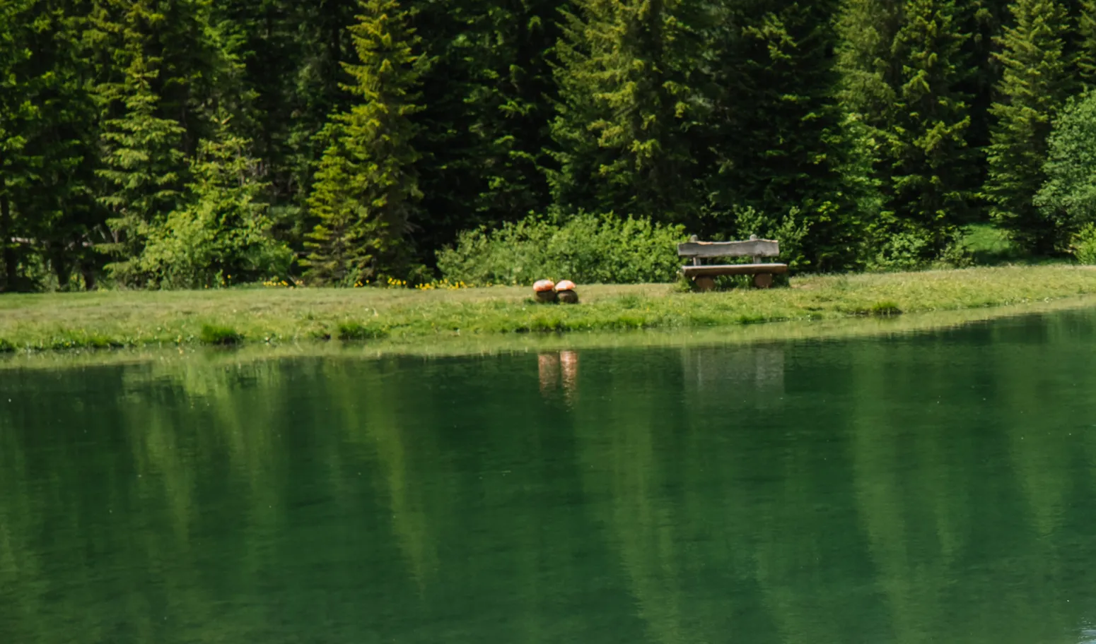 The Dolomites, South Tyrol, Italy — frame 9