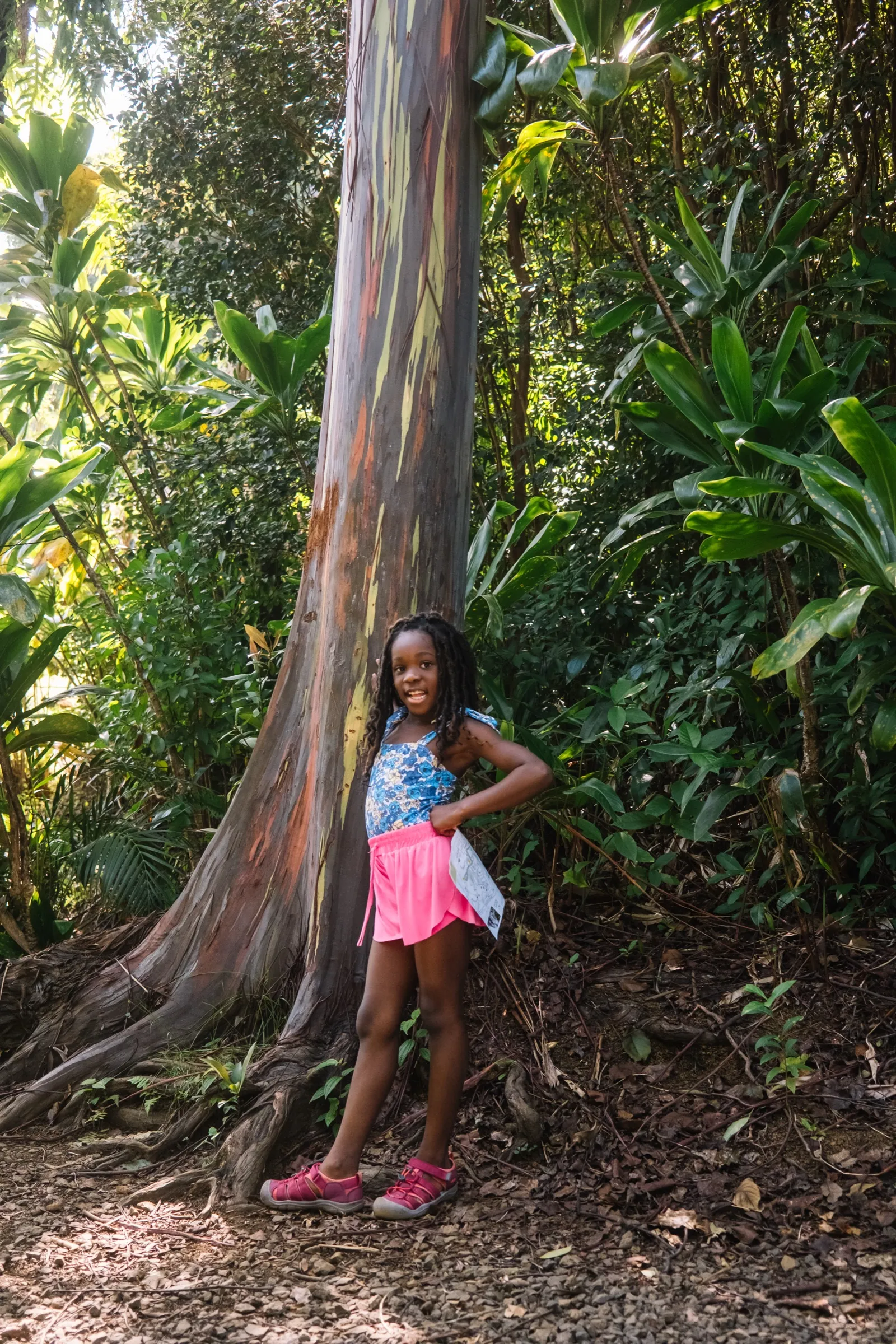 Small under a very big tree