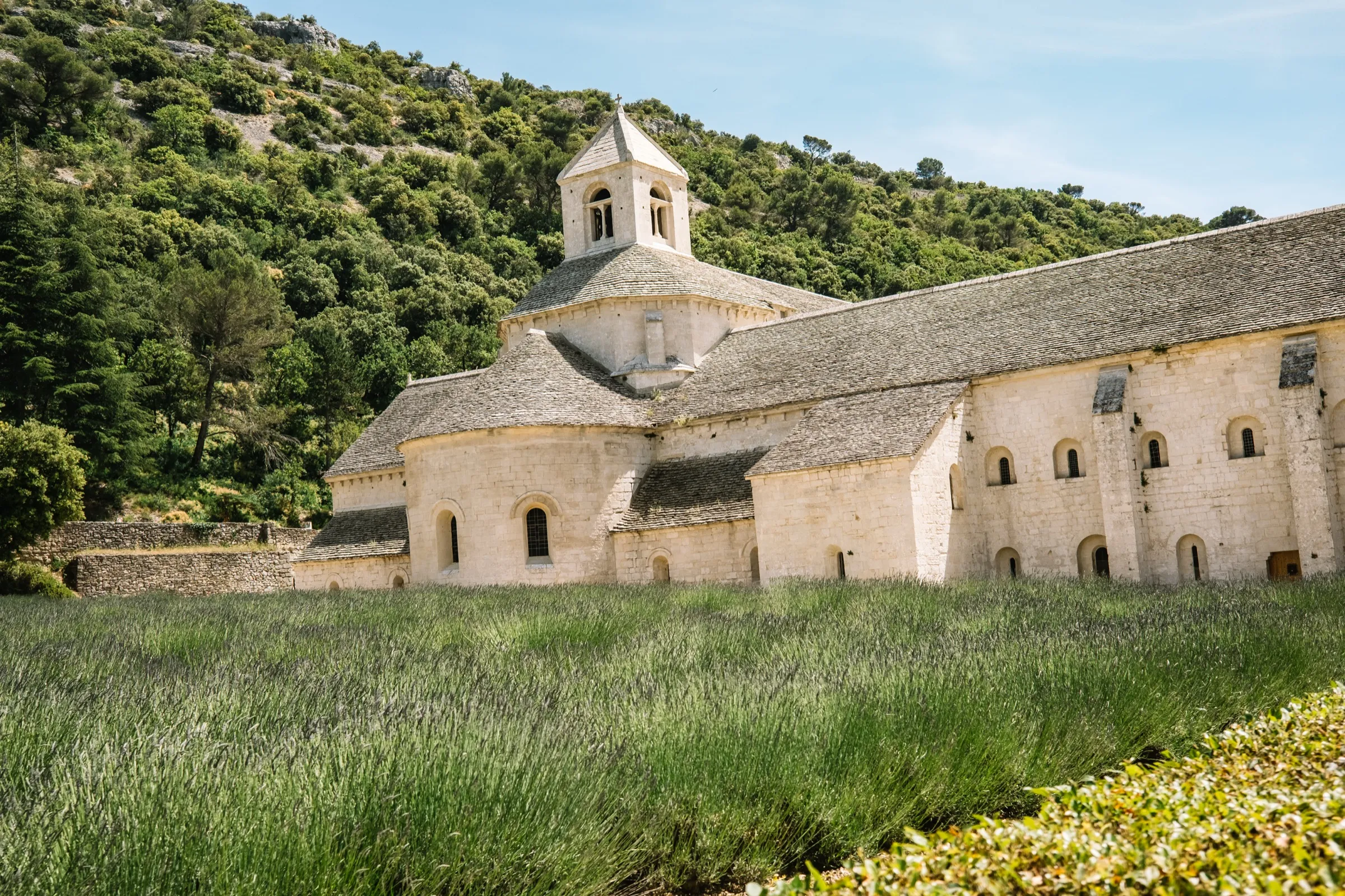 Provence — frame 2