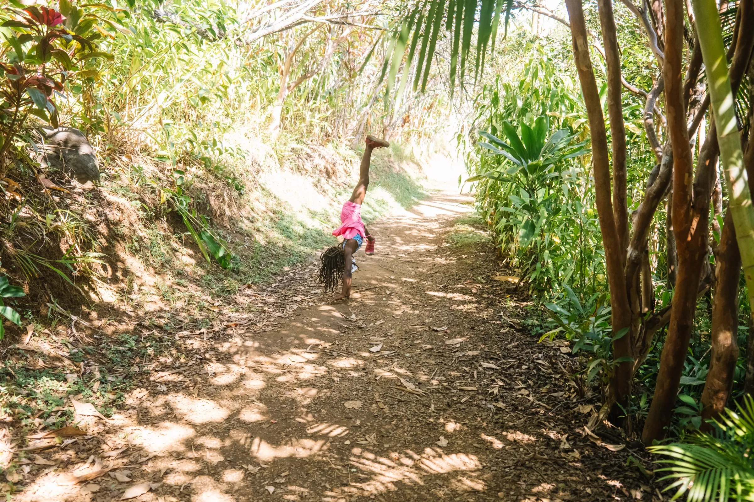 A Maui coastline scene — the quiet Hana end of the island