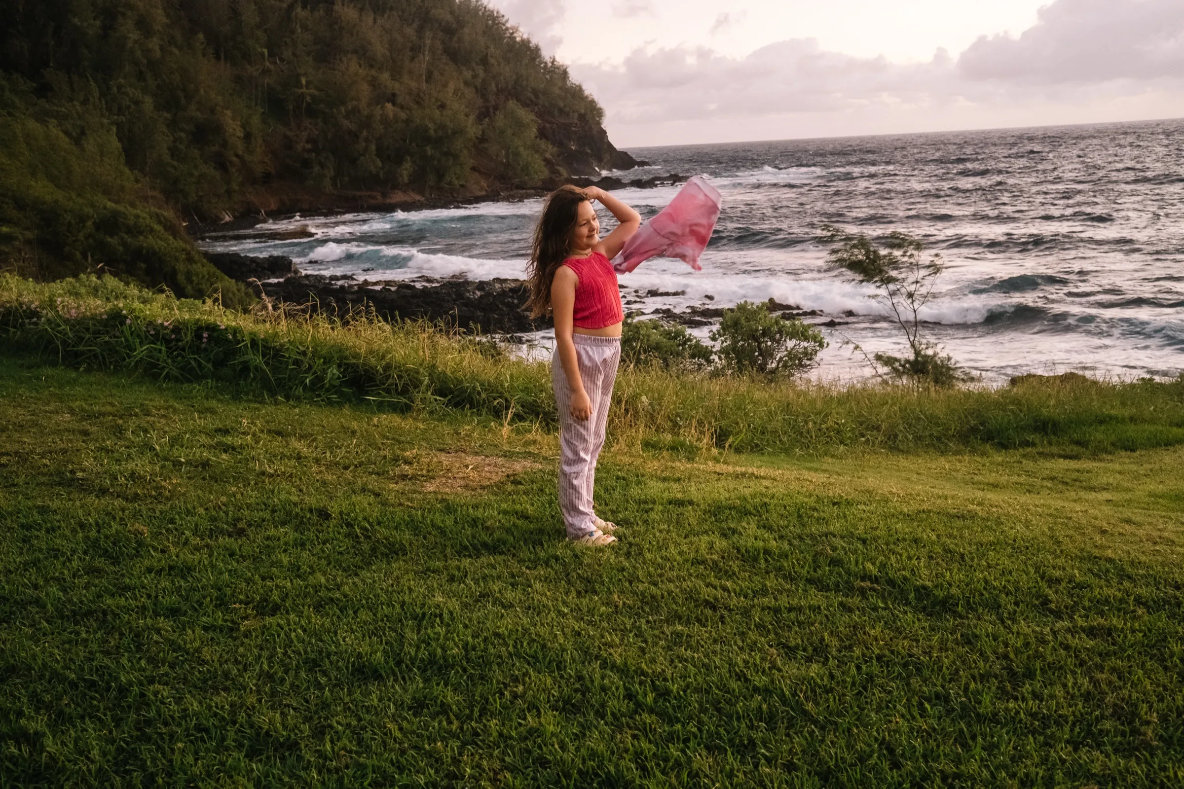 Maui field guide