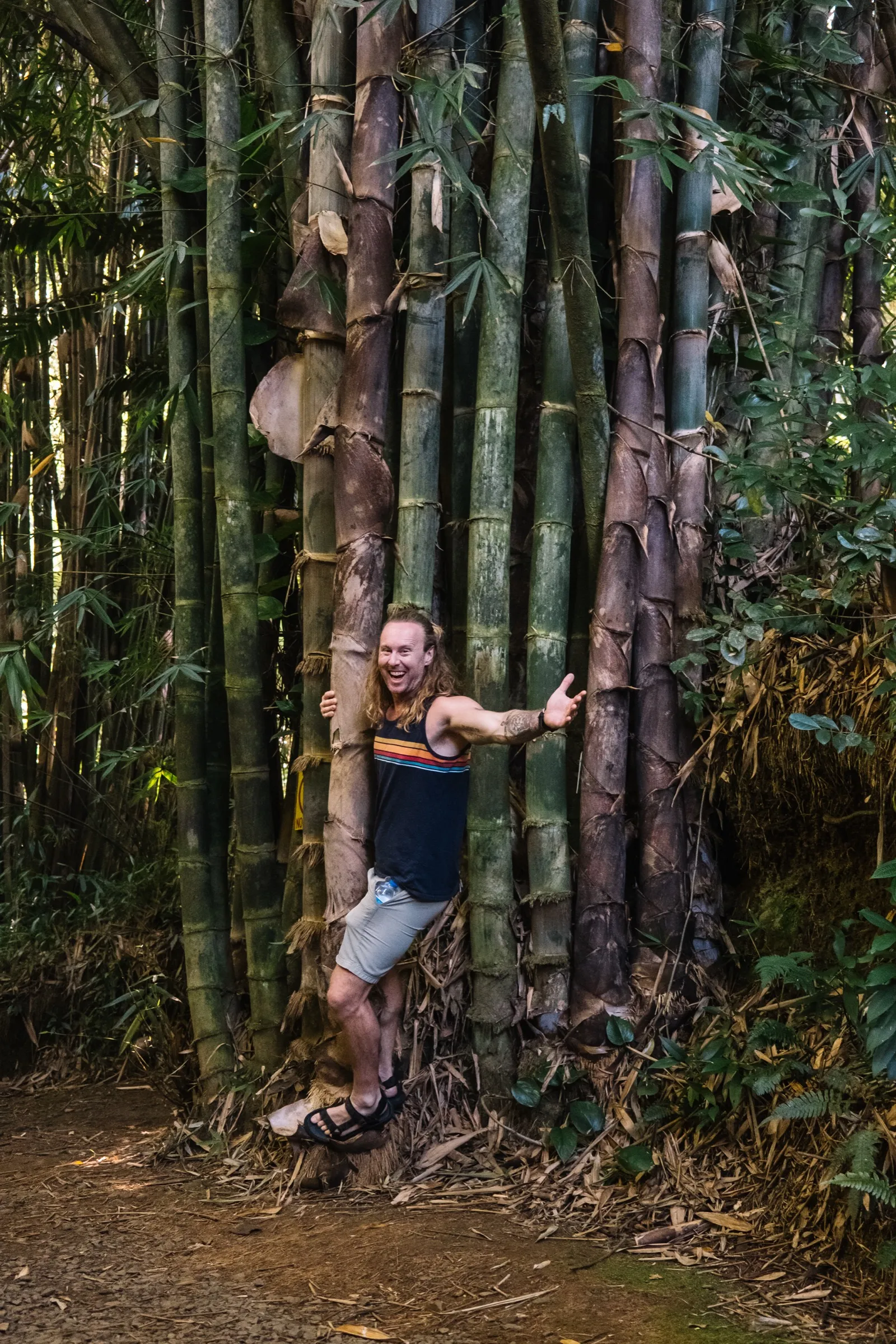 A child dwarfed by the giant bamboo forest on the Pipiwai Trail