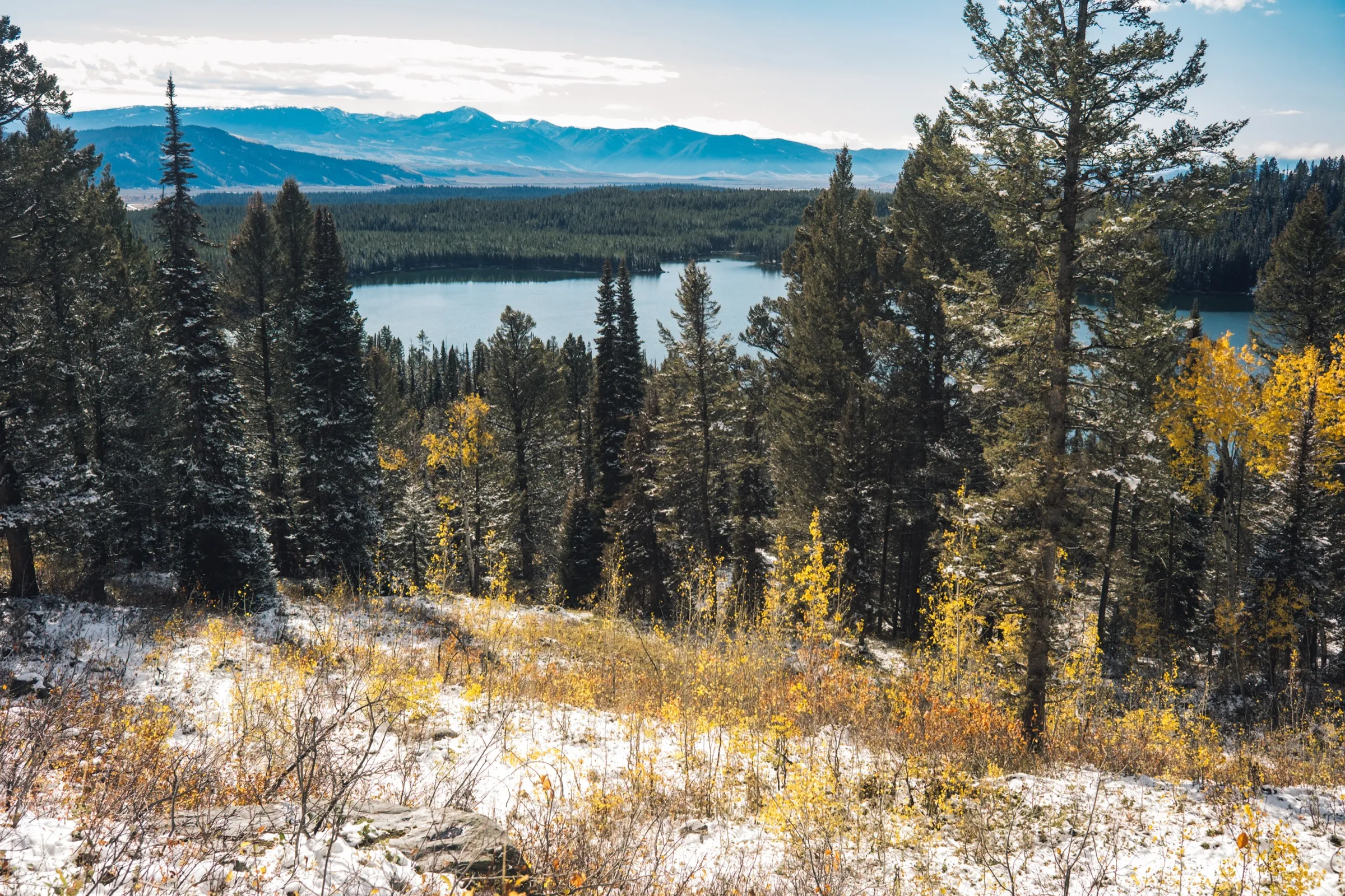 Jackson Hole — frame 2