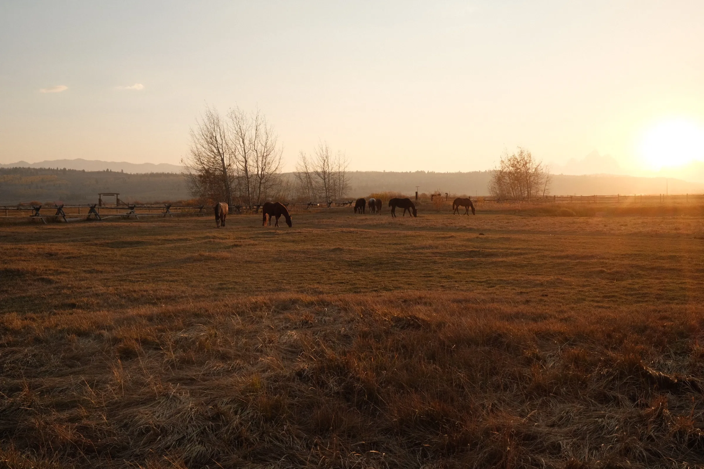 Jackson Hole, Wyoming, USA — frame 3