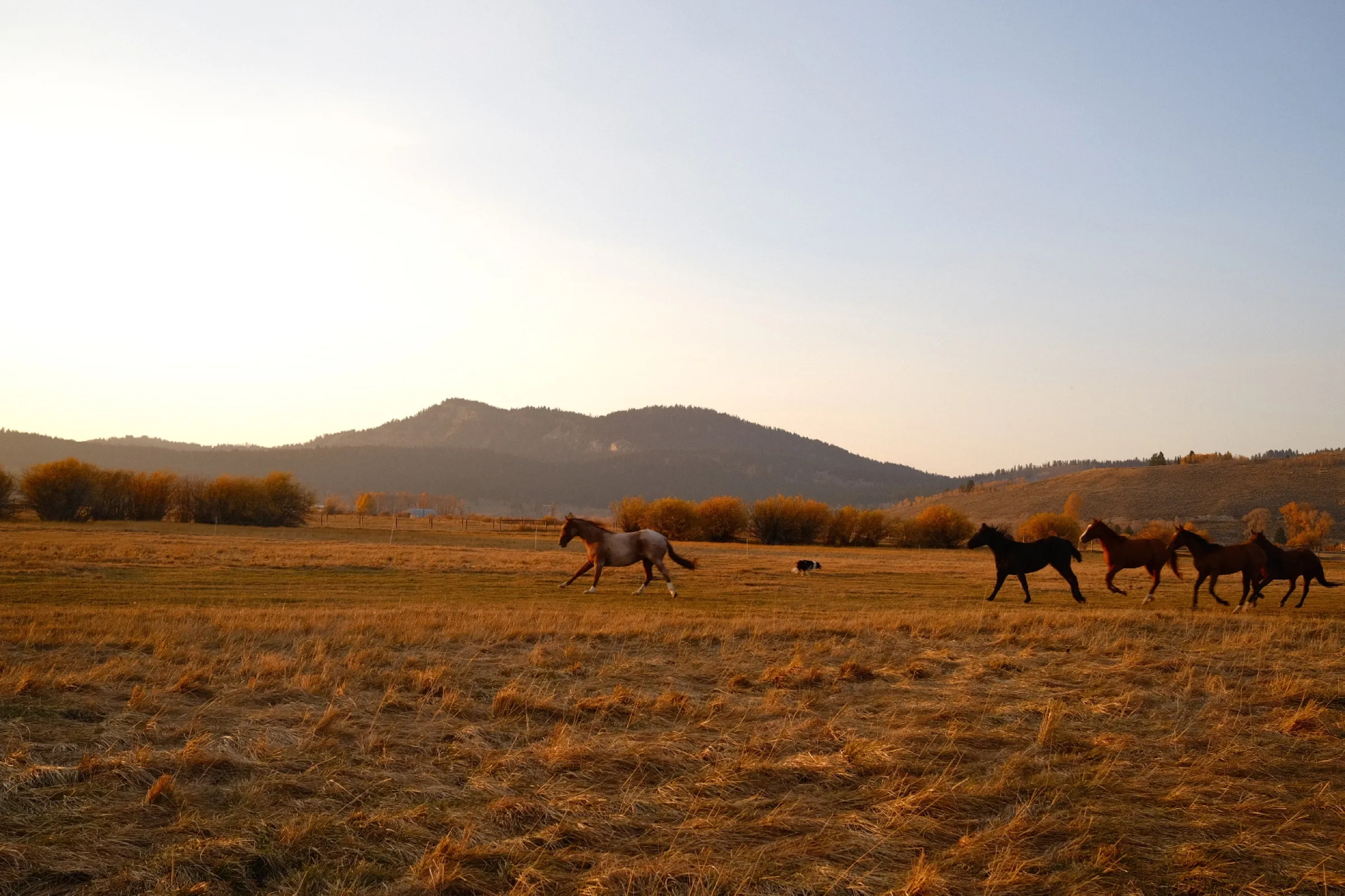 Jackson Hole, Wyoming, USA — frame 6