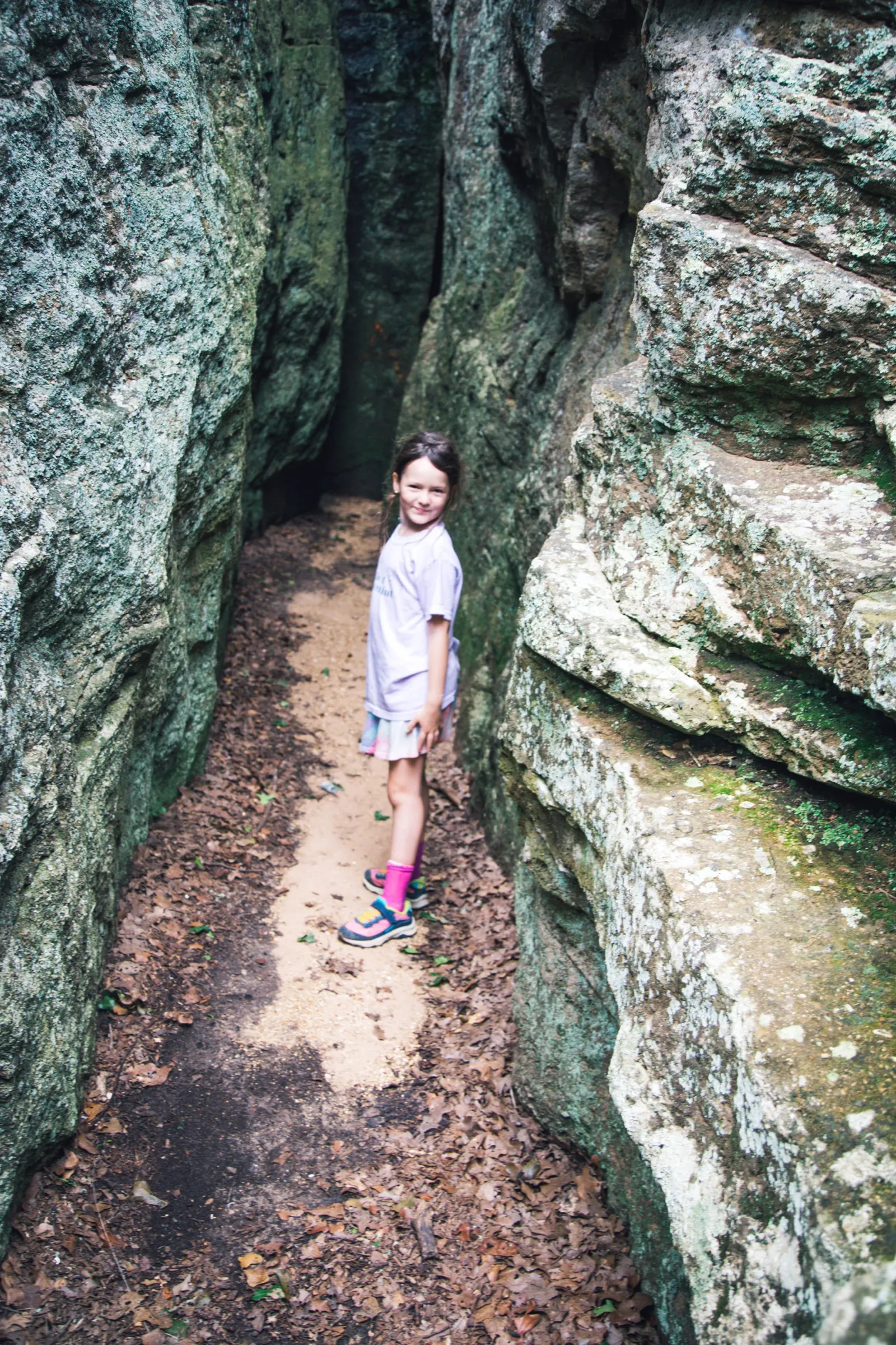 Mineral Wells field guide