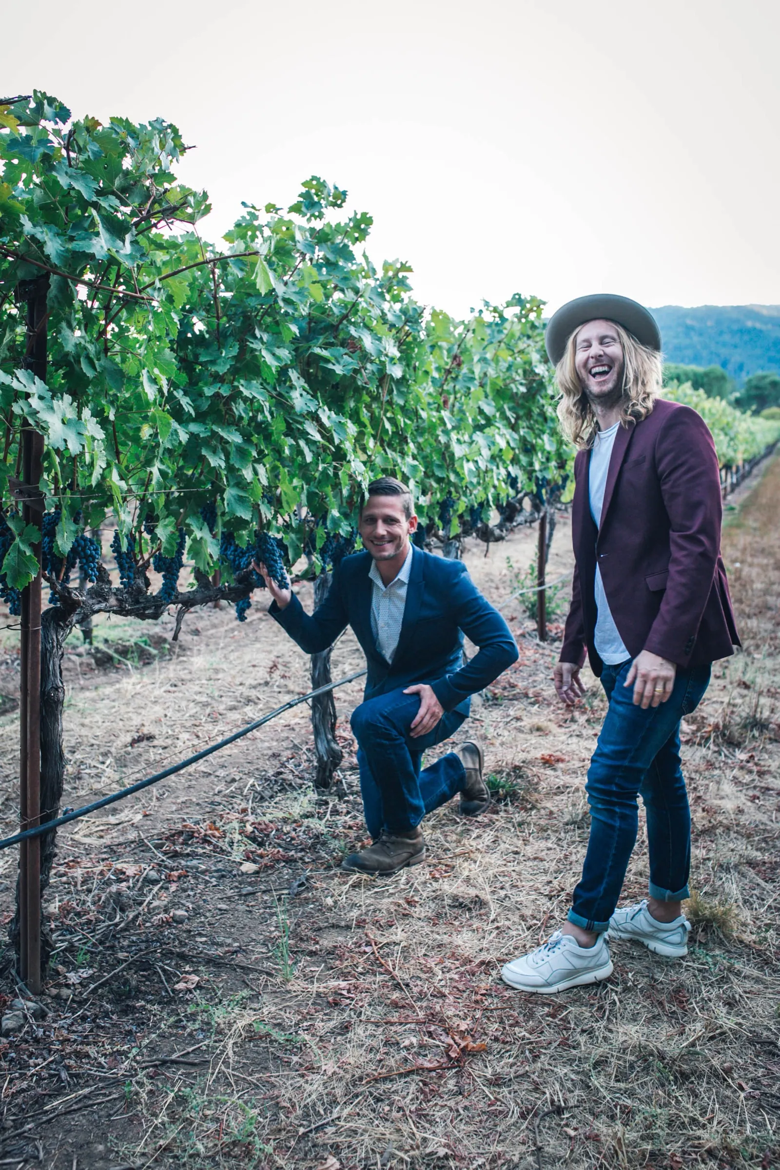 Napa, California, USA — frame 4
