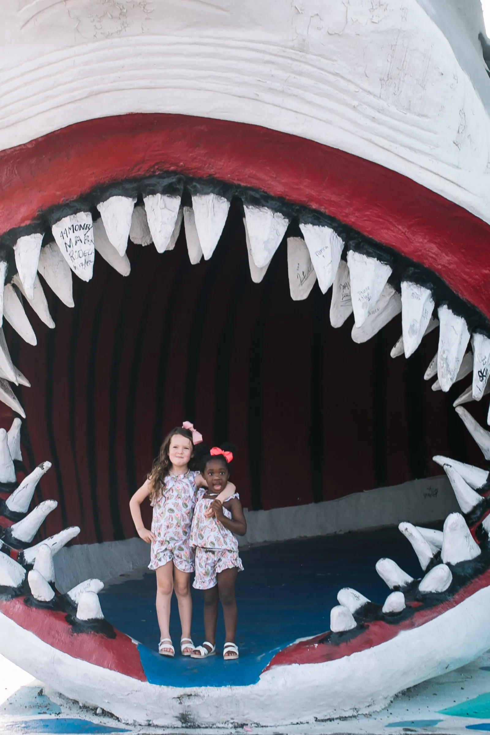 Port Aransas field guide