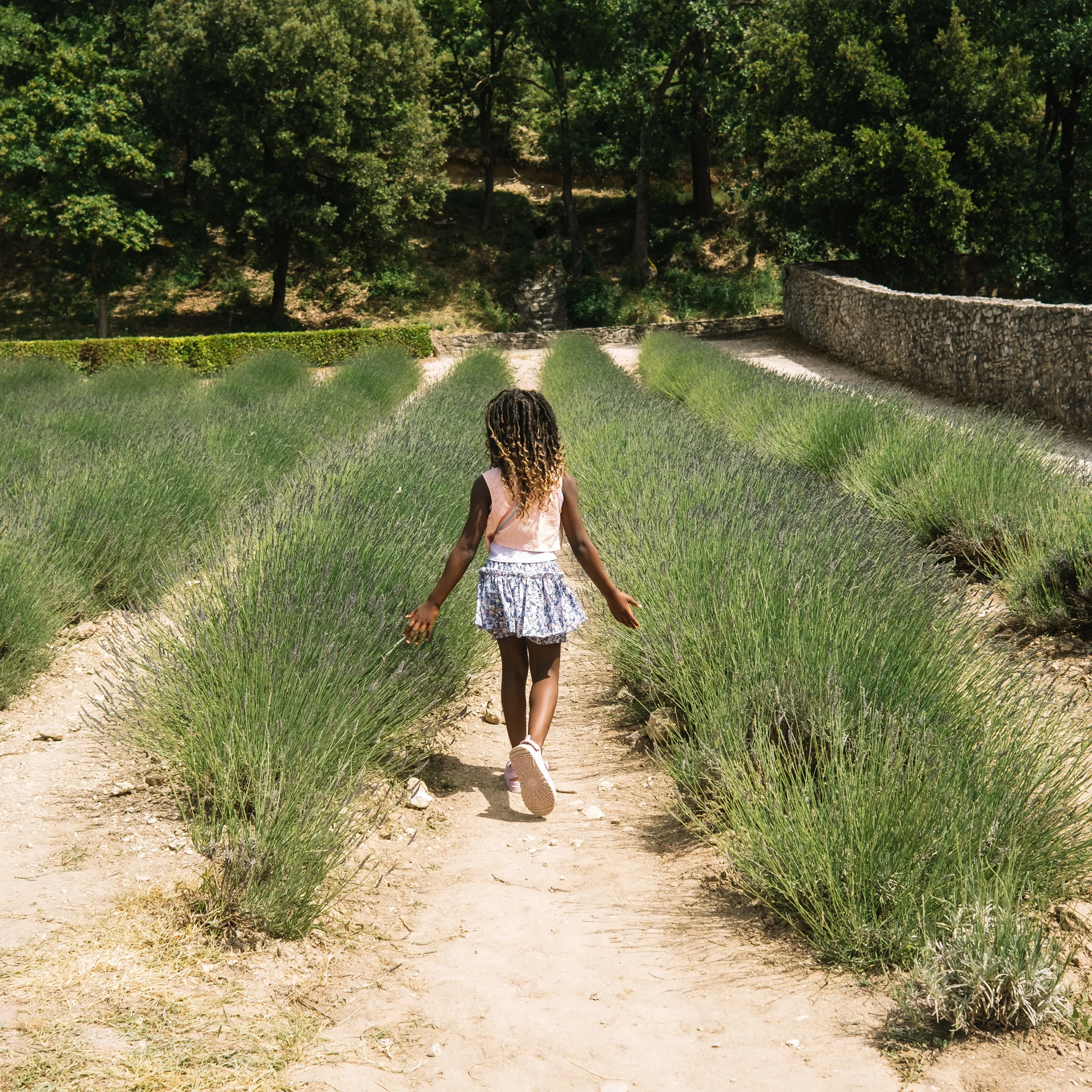Provence, Provence, France — frame 10